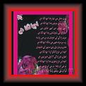 acha lagta hay 01 * 22.03.2008 * 449 x 587 * (48KB)